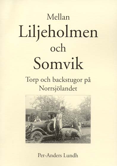 Mellan Liljeholmen och somvik